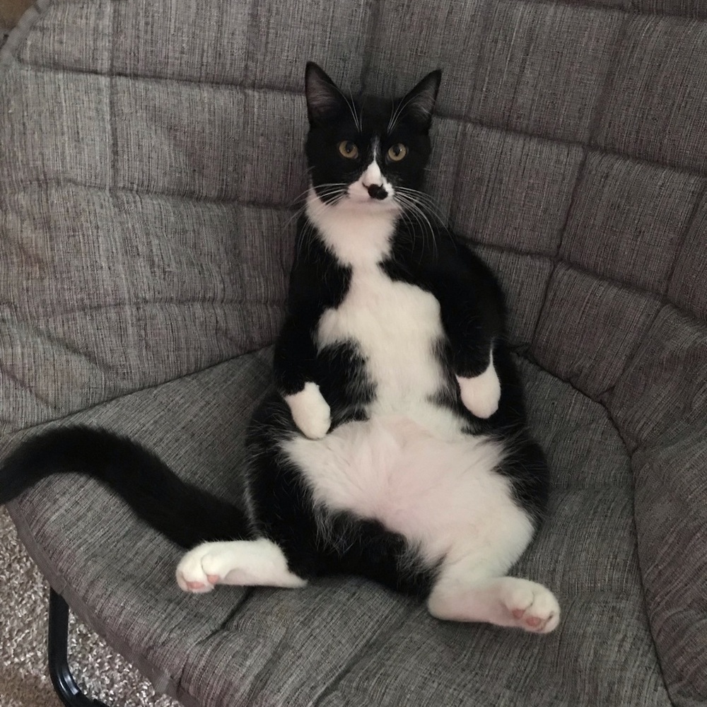 Meet your Posher, Amanda